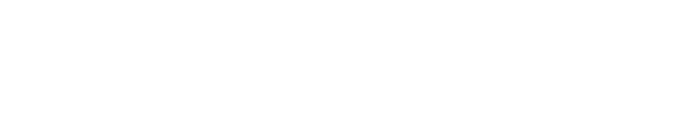 логотип navtelecom